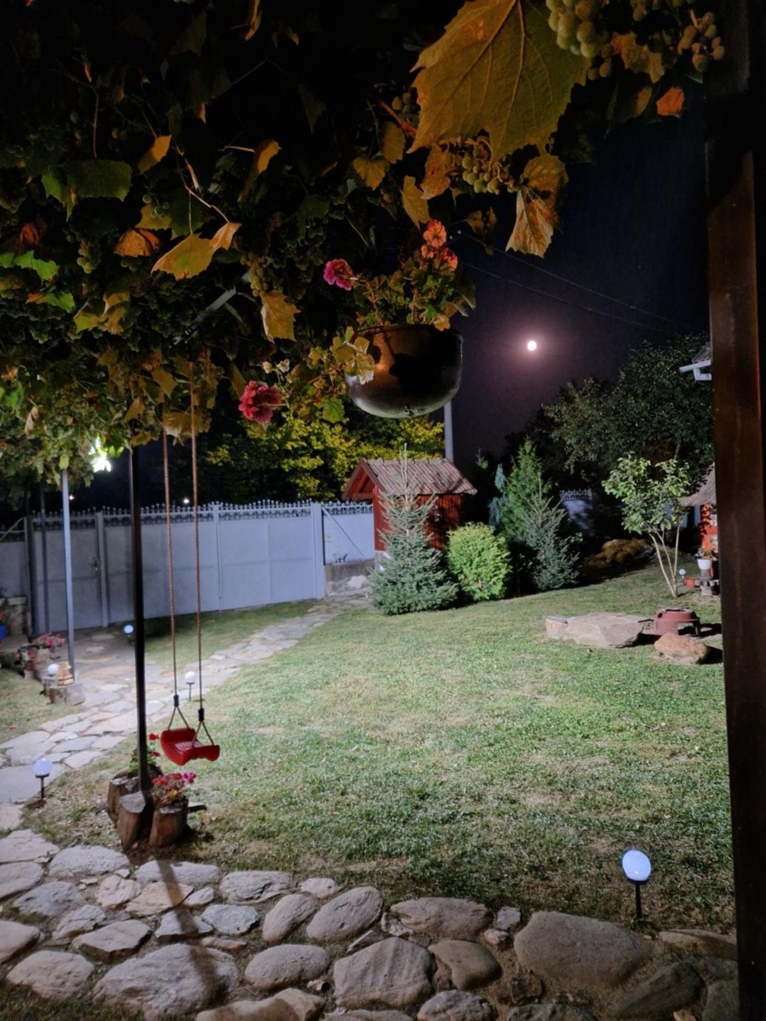 הוילה Dragus Casa Hariton מראה חיצוני תמונה